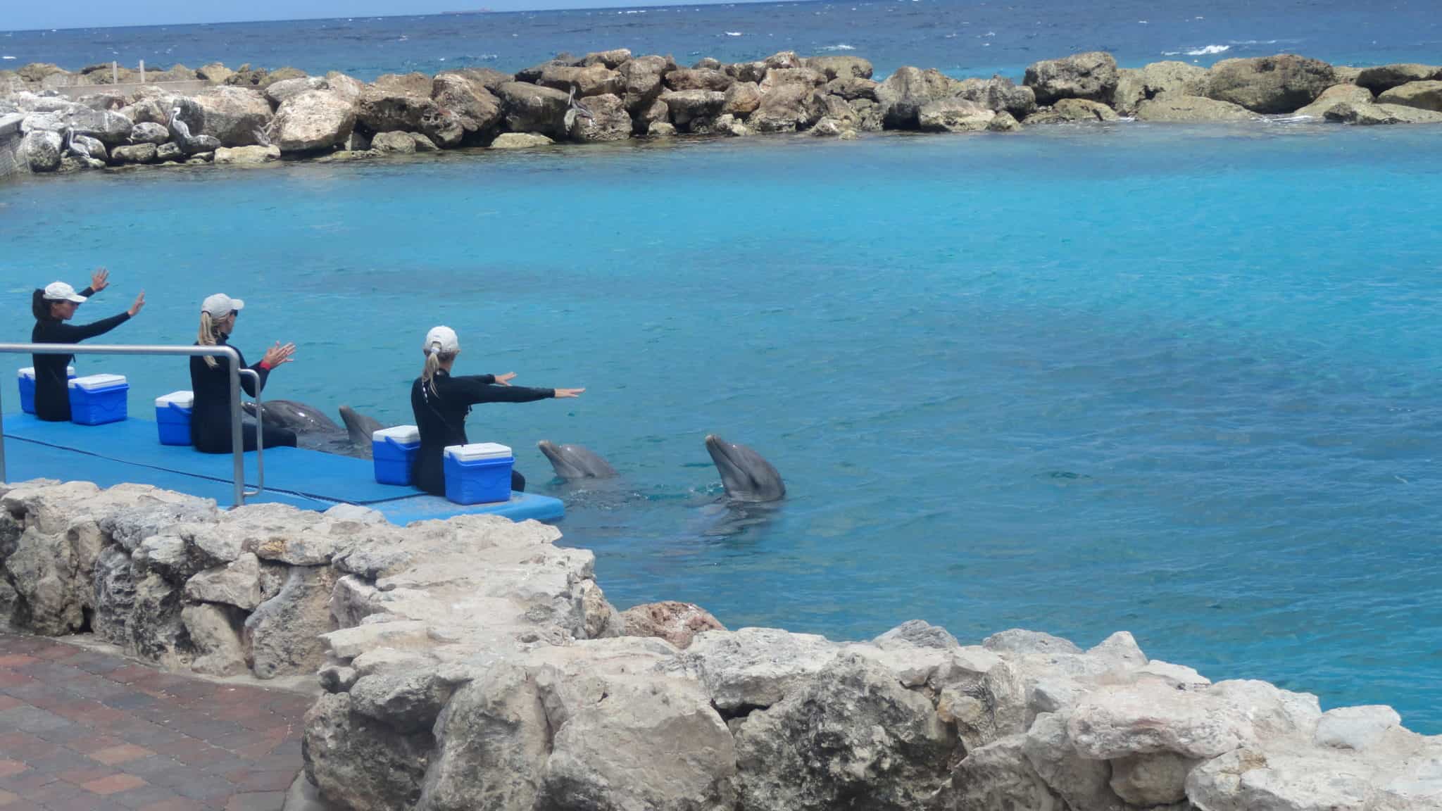 Seaquarium Curaçao