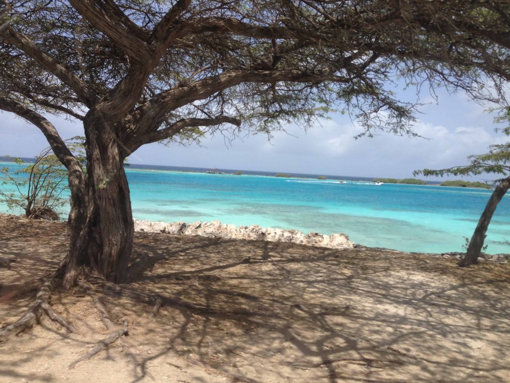 praias Aruba