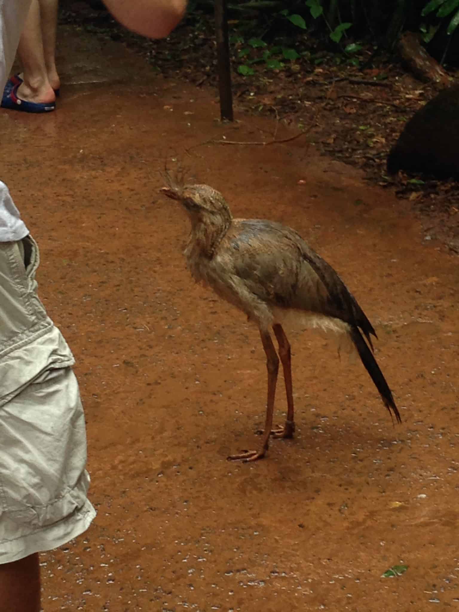 Parque das Aves