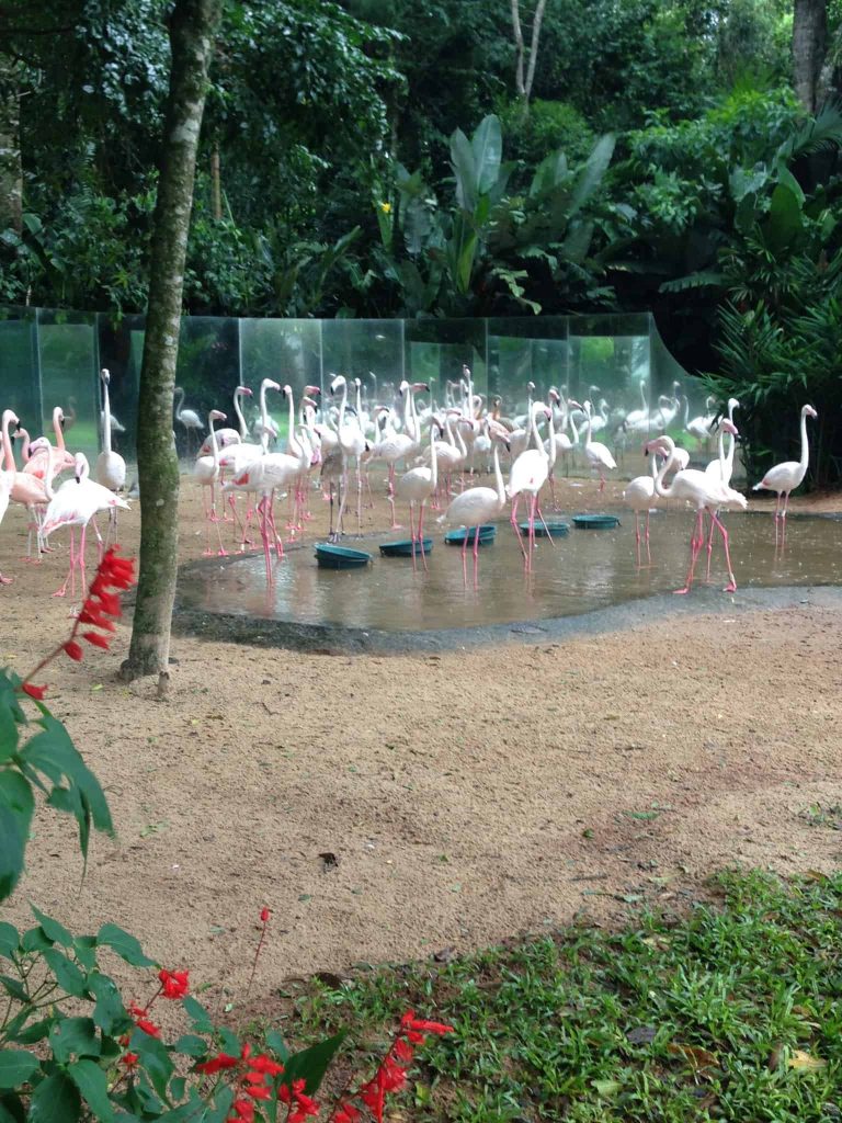 Parque das Aves