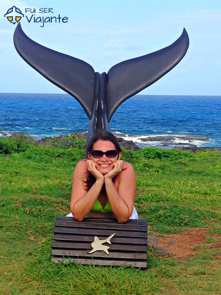 Museu do Tubarão em Fernando de Noronha