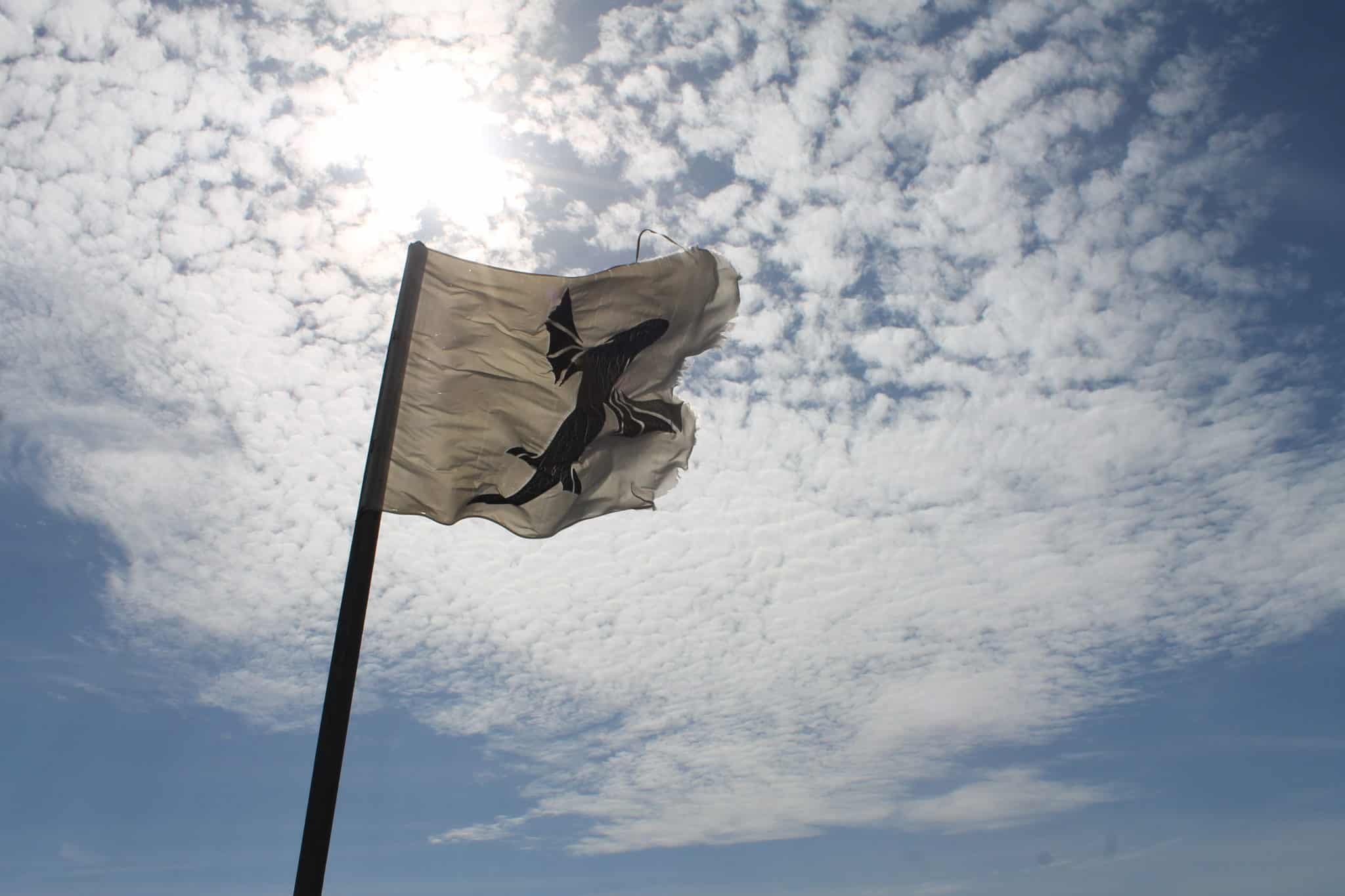 Escola de kitesurf em macaé, RJ