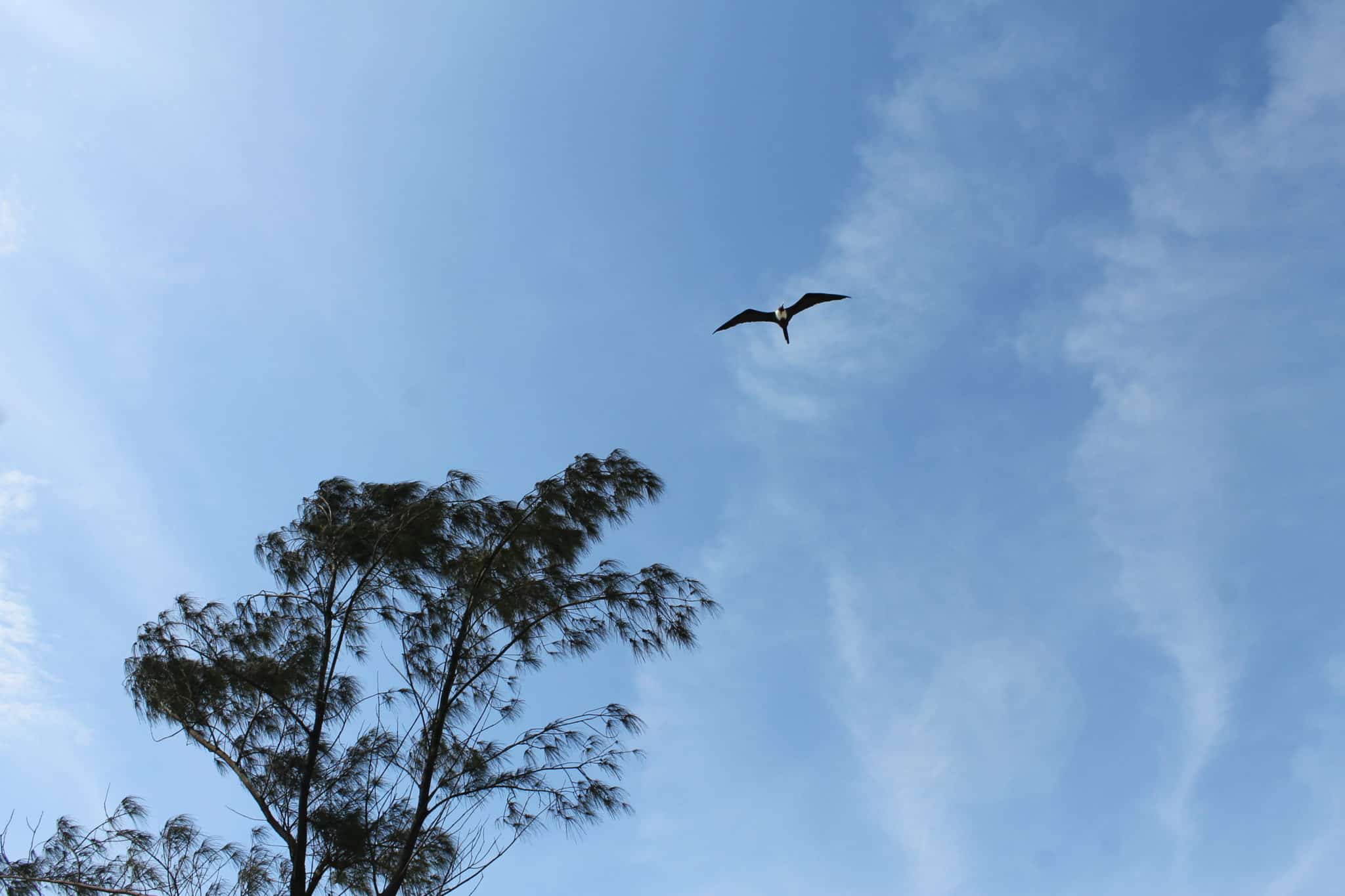 O que fazer em macaé, Rio de Janeiro