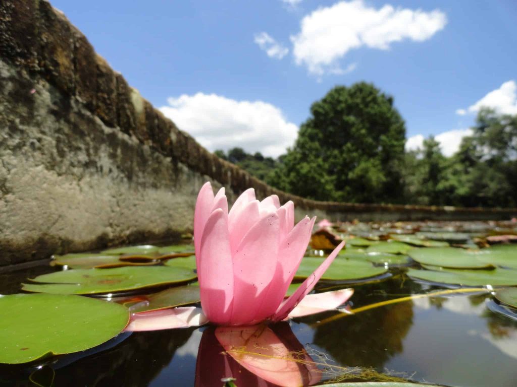 Parque Amantikir em Campos do Jordão