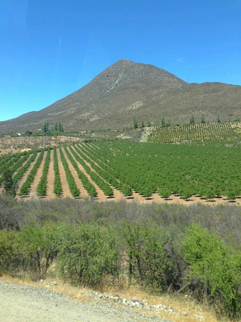 Estrada de Los Caracoles