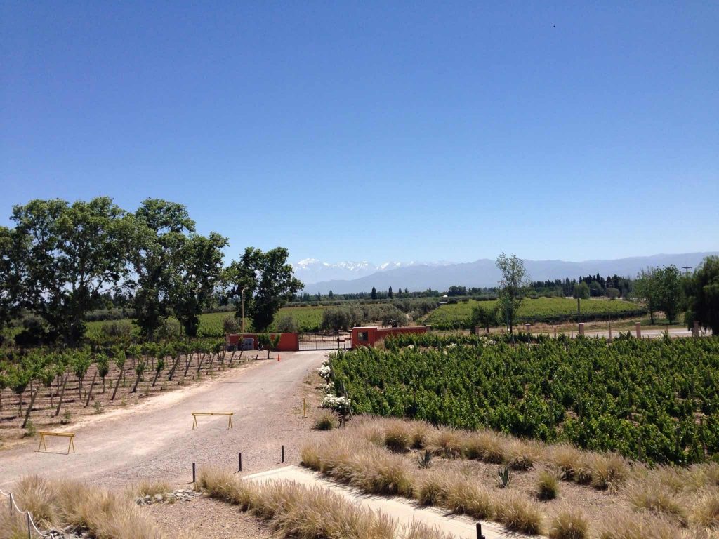 Wine bike tour em Mendoza