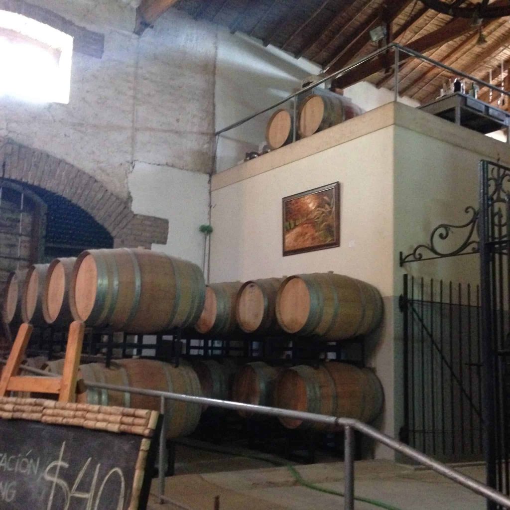 Vinícola Chechin Mendoza