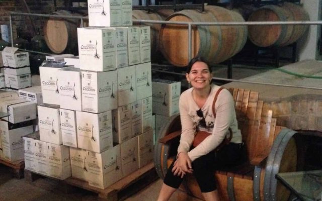 Bodega Família Chechin - Mendoza