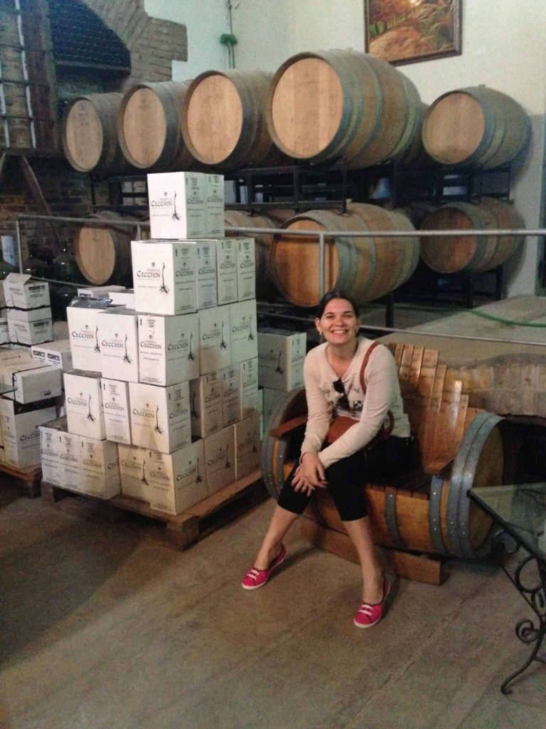 Wine Bike Tour - Mendoza