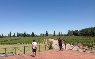 Wine Bike Tour - Mendoza