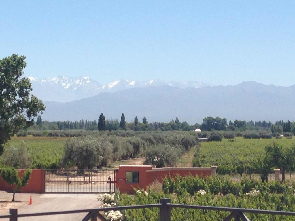 Tour de bicicleta pelas vinicolas de Mendoza