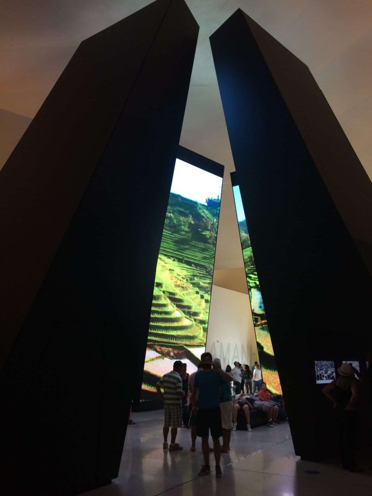 Exposição no Museu do Amanhã