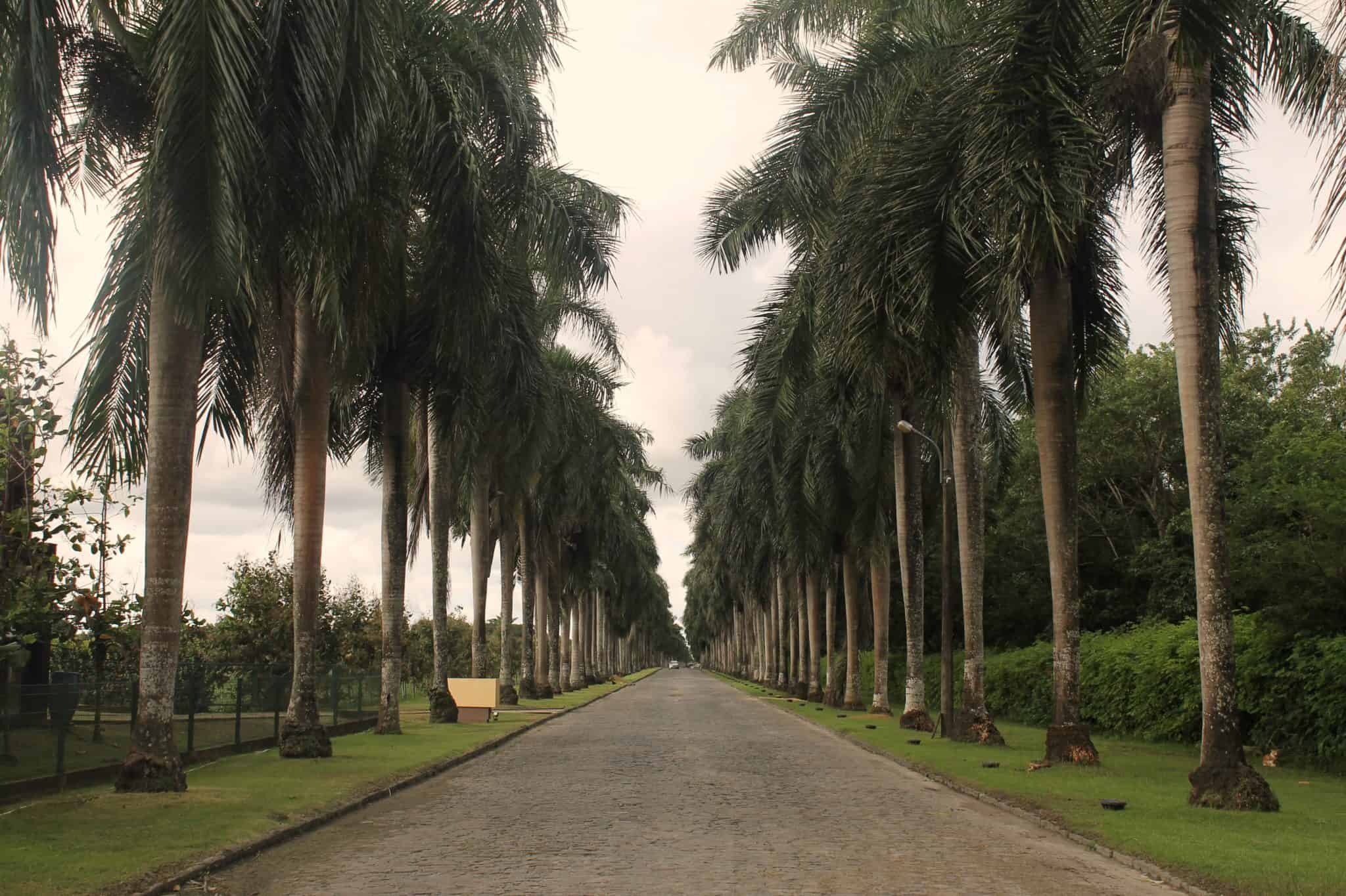 Instituto Ricardo Brennand