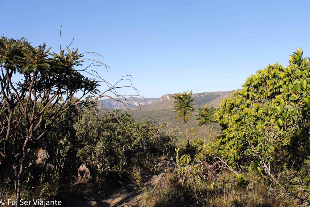 Trilha da Cachoeira dos Cristais - Chapada dos Veadeiros