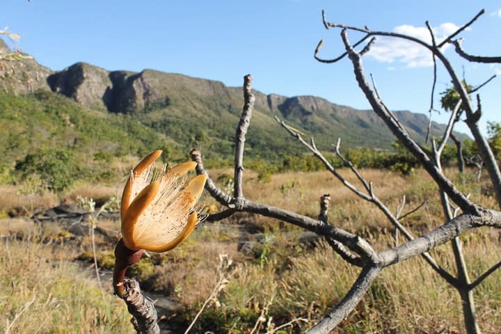 Vale da Lua na Chapada dos Veadeiros