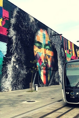 Mural Etnias, Eduardo Kobra