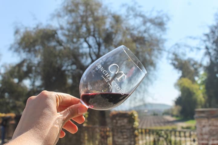Fui Ser Viajante no Chile - Vinhos em Santiago Fui Ser Viajante no Chile - Vinhos em Santiago