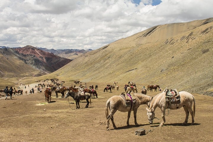 Montanha de Sete Cores - Vinicunca - Cusco - Peru