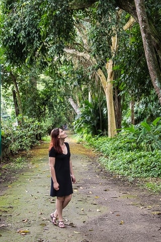 Natureza e trilhas no Parque Lage, Rio de Janeiro