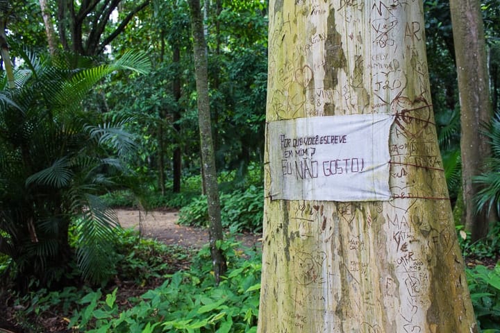 Natureza e trilhas no Parque Lage, Rio de Janeiro