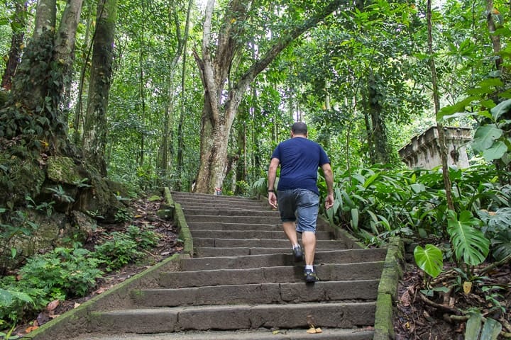 Natureza e trilhas no Parque Lage, Rio de Janeiro