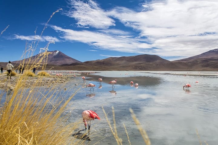 Tour Salar de Uyuni - dia 2 - Laguna Hedionda