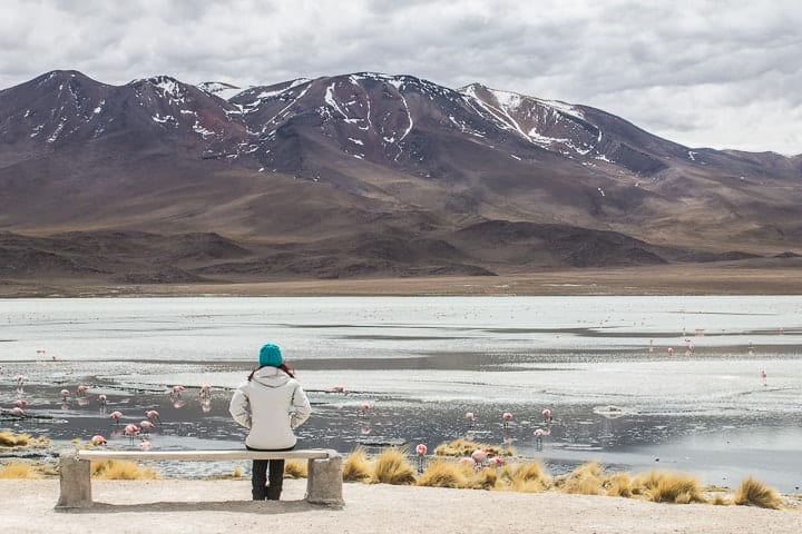 Tour Salar de Uyuni - dia 2 - Laguna Hedionda