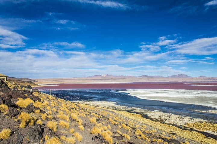 Tour Salar de Uyuni - dia 2 - Laguna Colorada