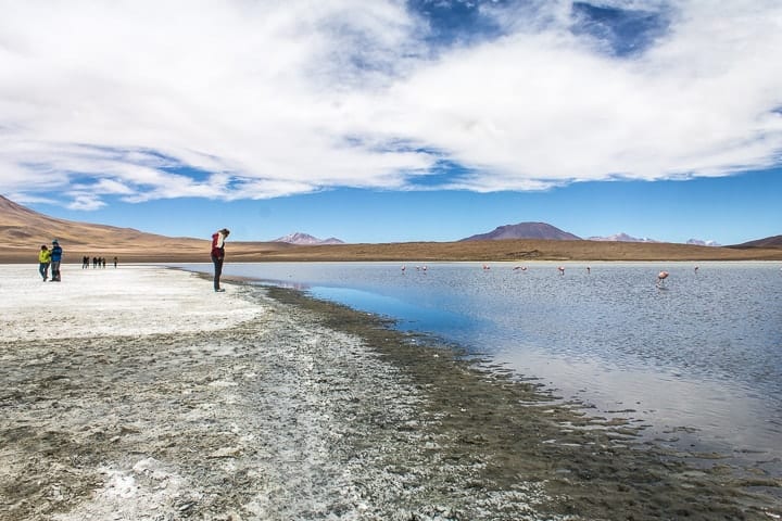 Tour Salar de Uyuni - dia 2 - Laguna Cañapa