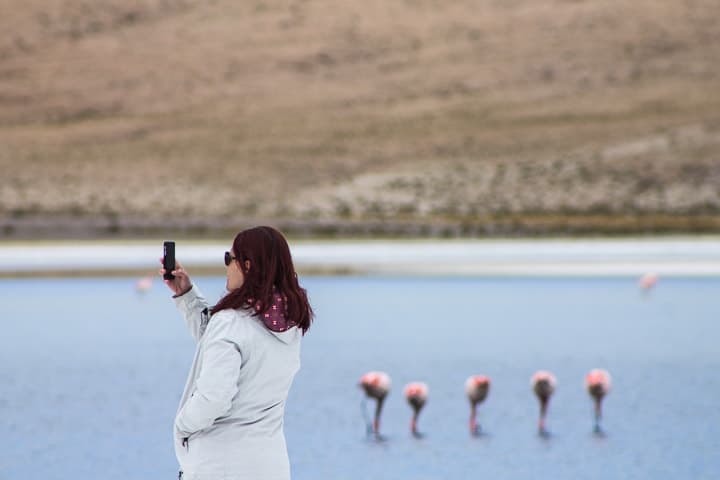 Tour Salar de Uyuni - dia 2 - Laguna Cañapa