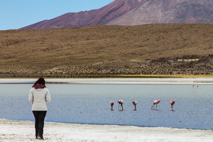 Tour Salar de Uyuni - dia 2 - Laguna Cañapa