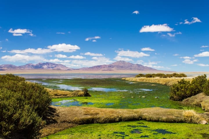 Salar de Águas Calientes, Deserto do Atacama