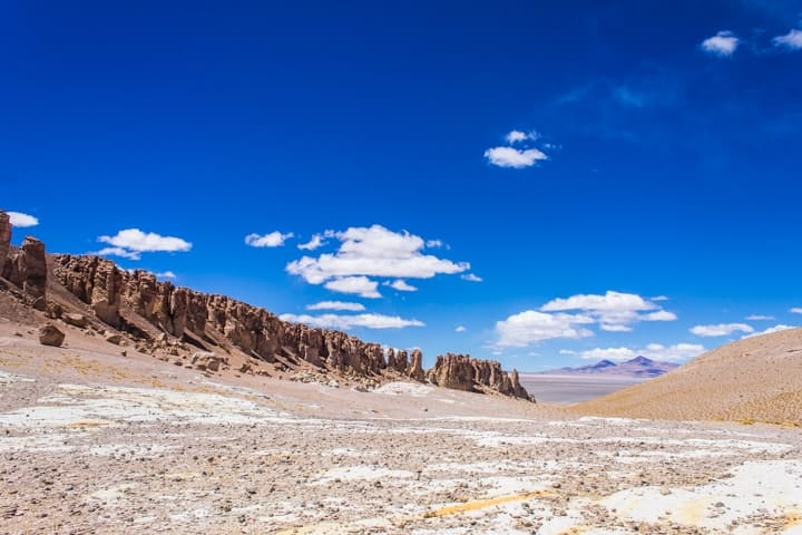 Salar de Tara, Deserto do Atacama