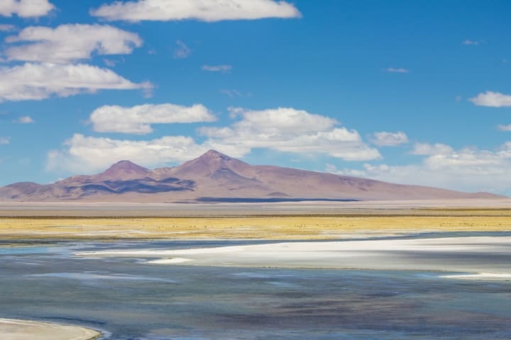 Salar de Tara, Deserto do Atacama