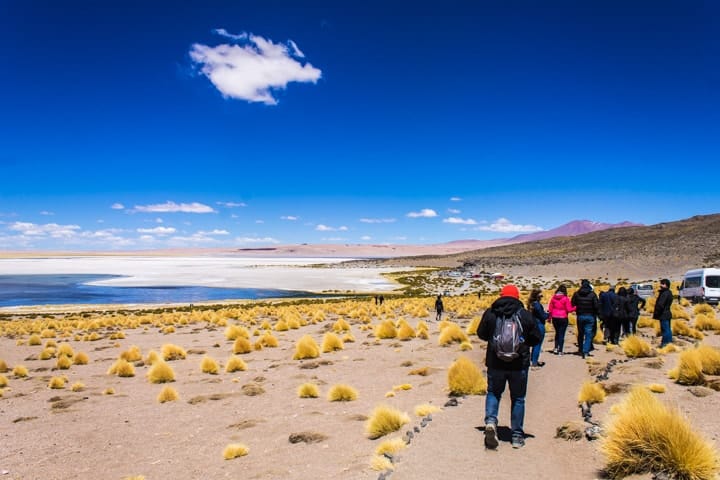 Salar de Tara, Deserto do Atacama