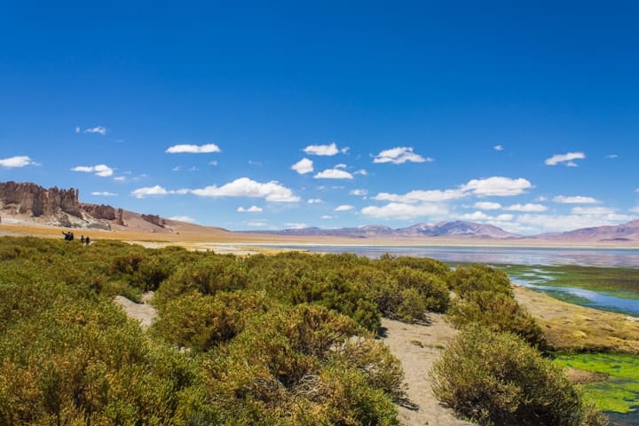 Salar de Tara, Deserto do Atacama