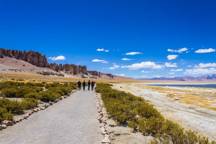 Salar de Tara, Deserto do Atacama