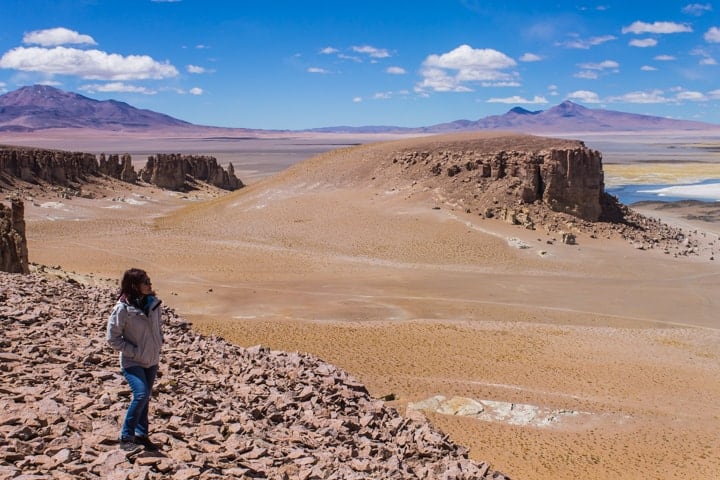 Salar de Tara, Deserto do Atacama