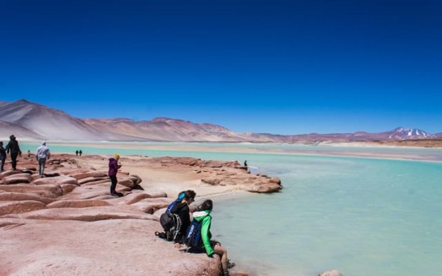 Tour Piedras Rojas e Lagunas Altiplânicas no Deserto do Atacama