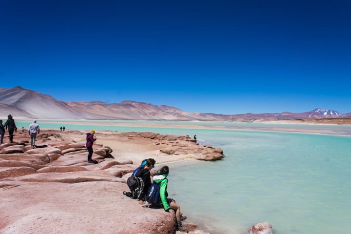 Tour Piedras Rojas e Lagunas Altiplânicas no Deserto do Atacama