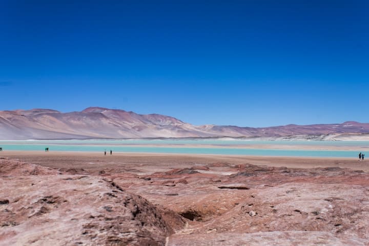 Tour Piedras Rojas e Lagunas Altiplânicas no Deserto do Atacama