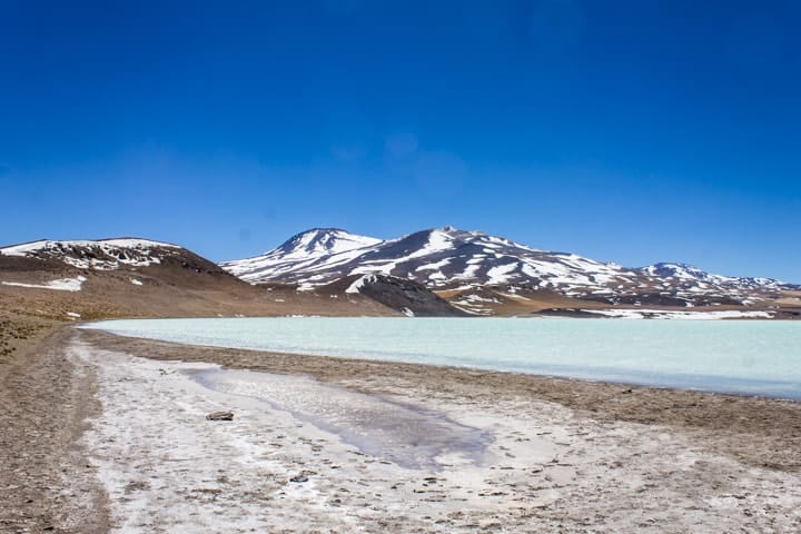 Lagunas Altiplânicas - Tour Piedras Rojas e Lagunas Altiplânicas no Deserto do Atacama