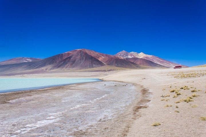 Lagunas Altiplânicas - Tour Piedras Rojas e Lagunas Altiplânicas no Deserto do Atacama