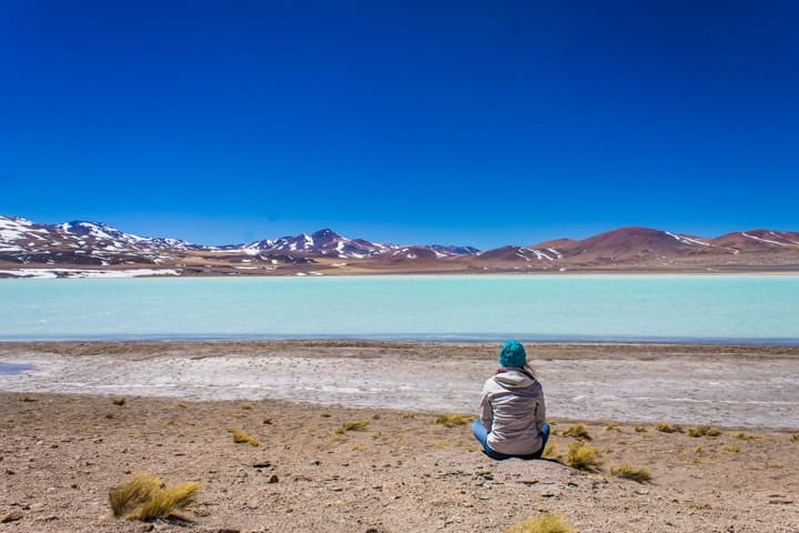 Lagunas Altiplânicas - Tour Piedras Rojas e Lagunas Altiplânicas no Deserto do Atacama