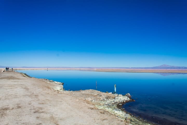 Salar de Atacama - Tour Piedras Rojas e Lagunas Altiplânicas no Deserto do Atacama