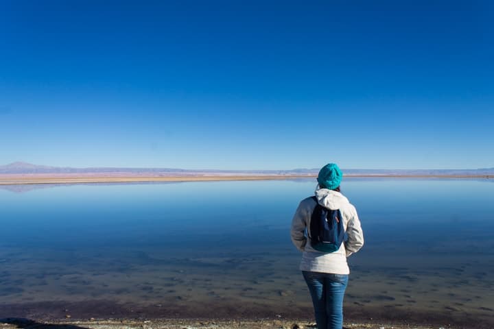 Salar de Atacama - Tour Piedras Rojas e Lagunas Altiplânicas no Deserto do Atacama