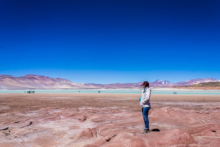 Tour Piedras Rojas e Lagunas Altiplânicas no Deserto do Atacama