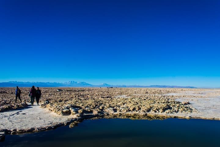 Salar de Atacama - Tour Piedras Rojas e Lagunas Altiplânicas no Deserto do Atacama