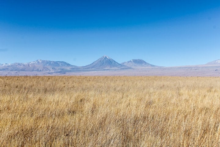 Laguna Cejar, Deserto do Atacama