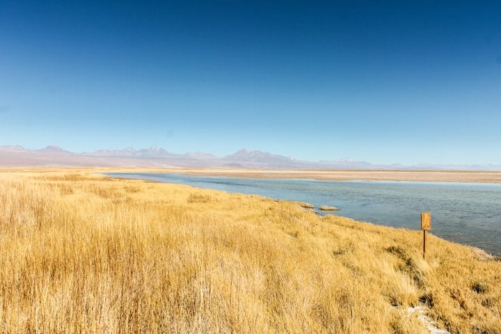 Laguna Cejar, Deserto do Atacama